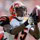 Illustration for article titled Chris Henry Suffers "Life-Threatening Injuries" In Domestic Dispute/Car Accident (Update)